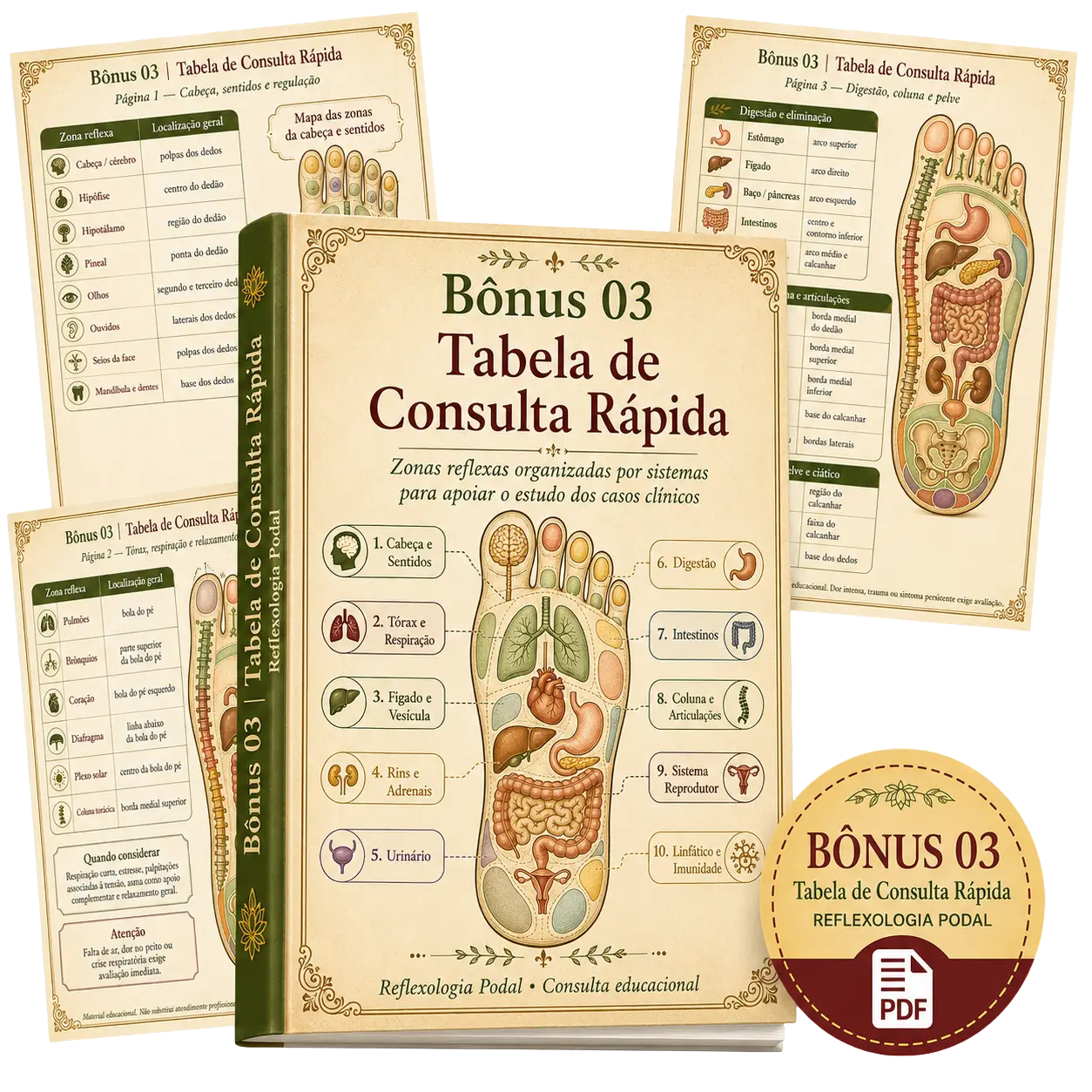 Bônus 03 - Tabela de Consulta Rápida
